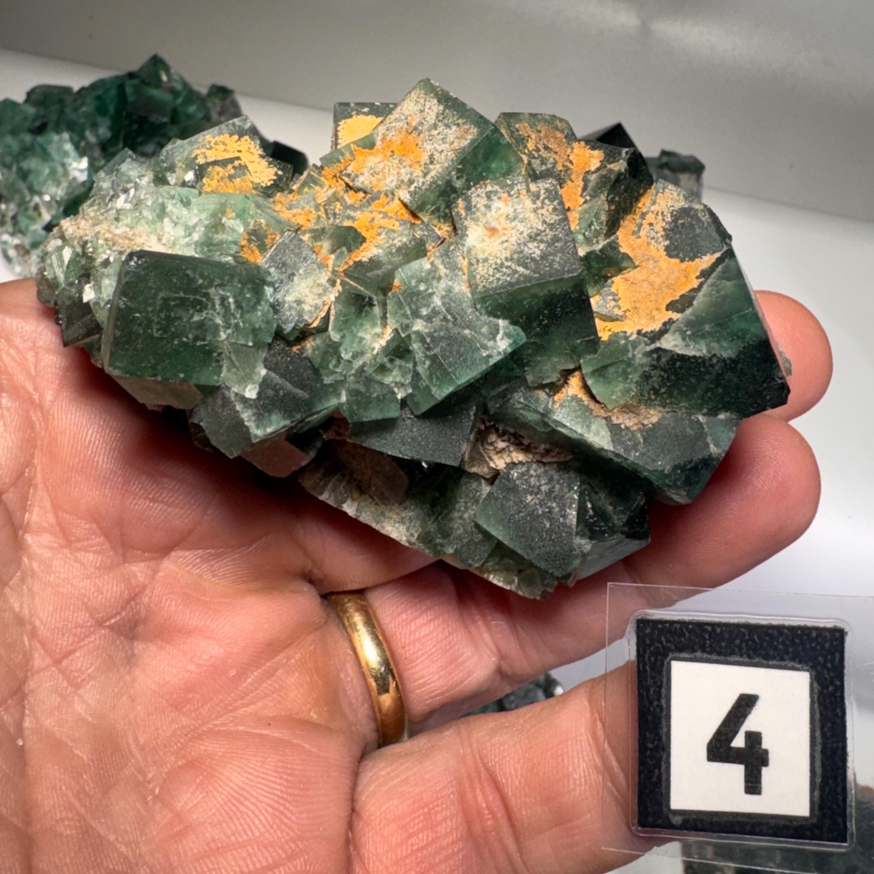 [shopname] - Green fluorite crystal cluster, sunlight reactive | Hidden Forest Pocket, Diana Maria Mine, Durham England, rock decor
