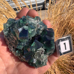 [shopname] - Green fluorite crystal cluster, sunlight reactive | Hidden Forest Pocket, Diana Maria Mine, Durham England, rock decor