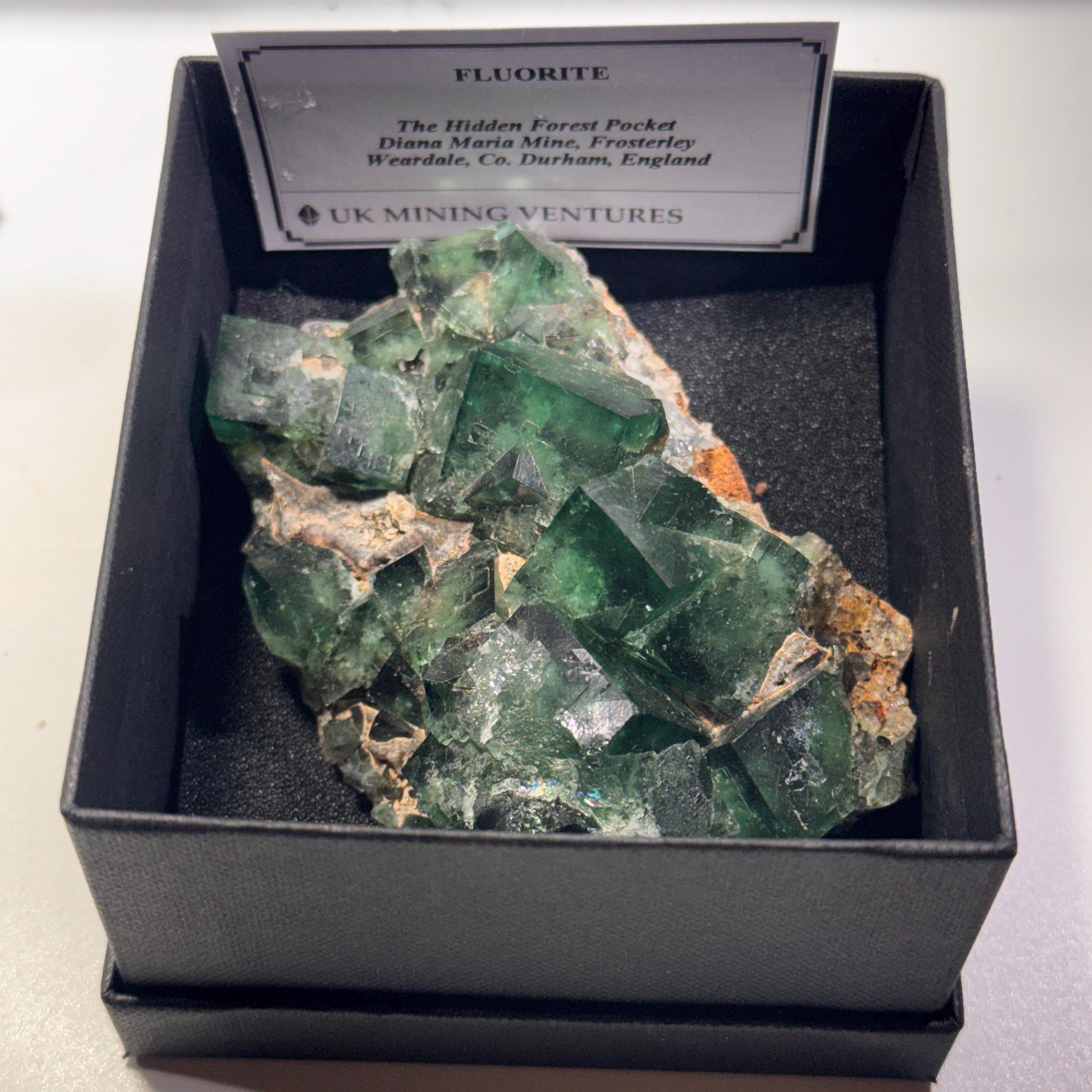 [shopname] - Green fluorite crystal cluster, sunlight reactive | Hidden Forest Pocket, Diana Maria Mine, Durham England, rock decor