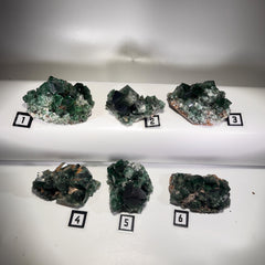 [shopname] - Green fluorite crystal cluster, sunlight reactive | Hidden Forest Pocket, Diana Maria Mine, Durham England, rock decor