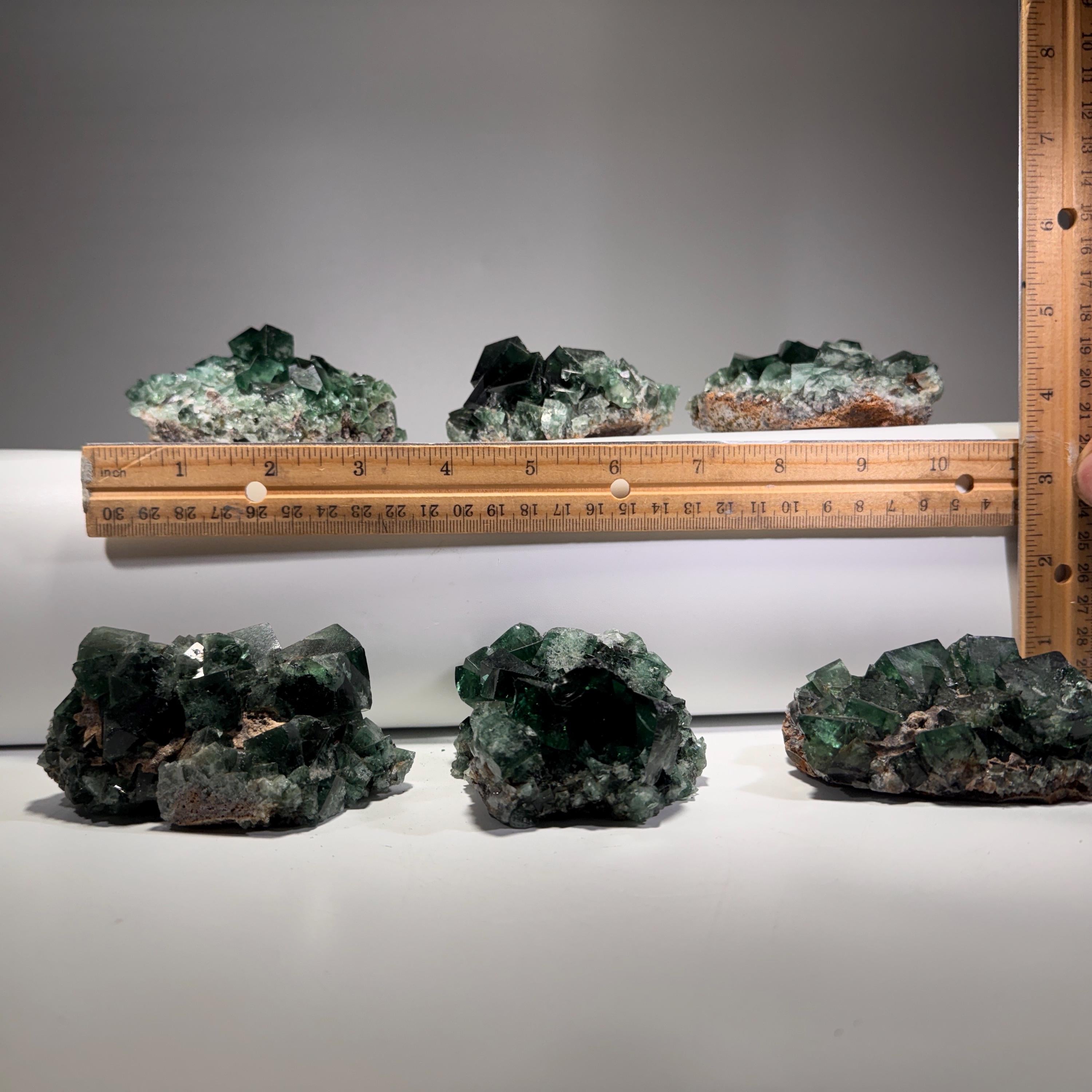 [shopname] - Green fluorite crystal cluster, sunlight reactive | Hidden Forest Pocket, Diana Maria Mine, Durham England, rock decor