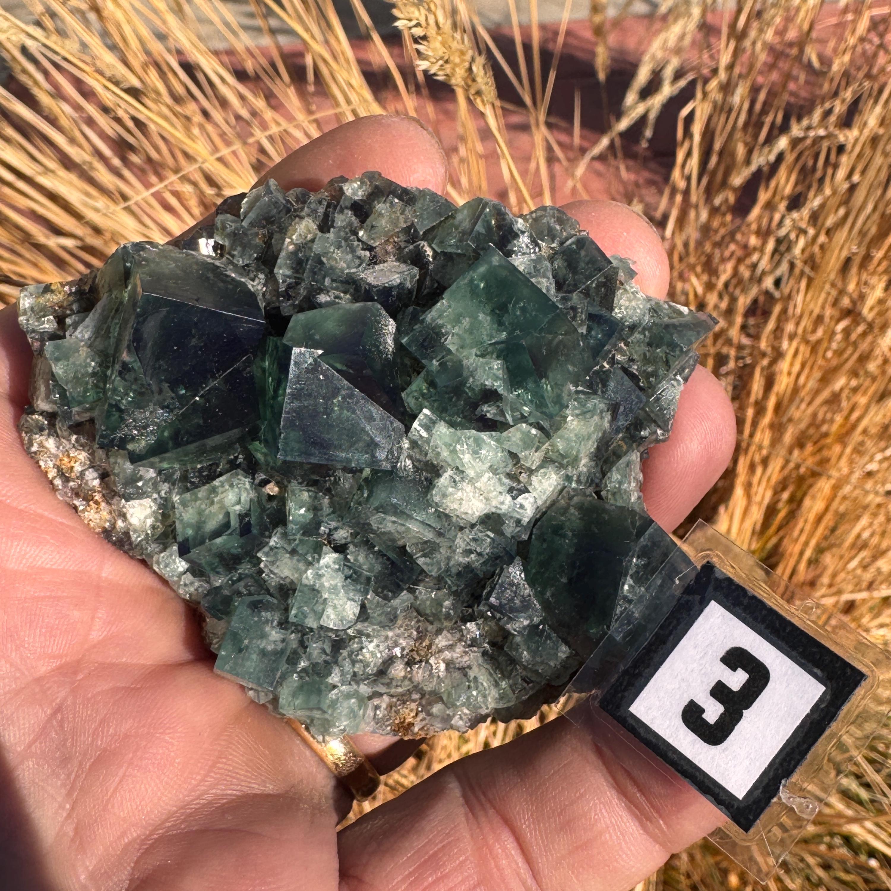 [shopname] - Green fluorite crystal cluster, sunlight reactive | Hidden Forest Pocket, Diana Maria Mine, Durham England, rock decor