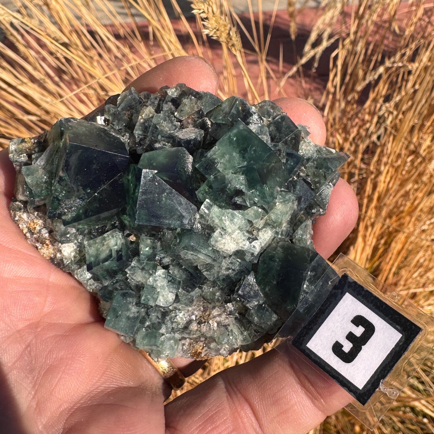 [shopname] - Green fluorite crystal cluster, sunlight reactive, rock decor