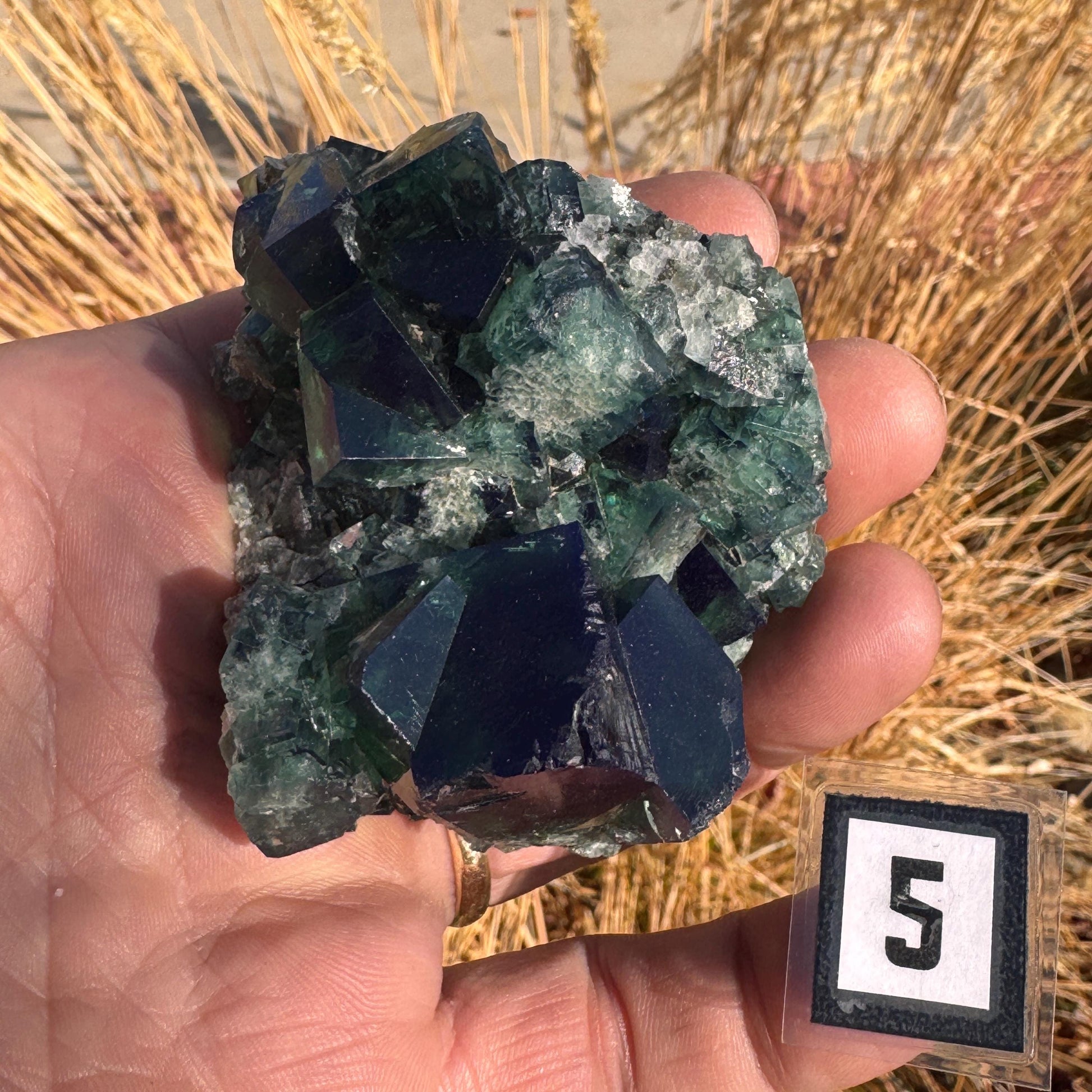 [shopname] - Green fluorite crystal cluster, sunlight reactive, rock decor