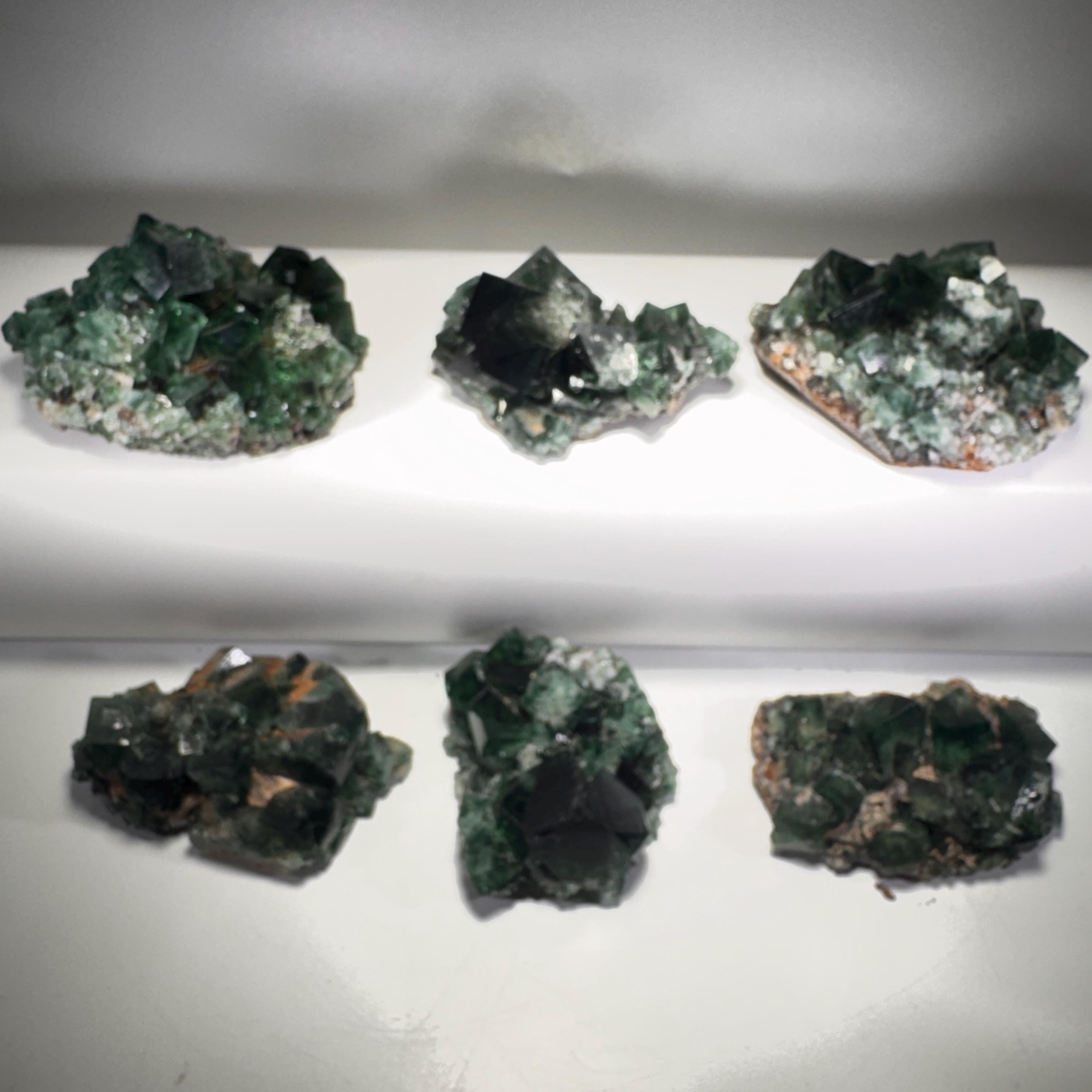 [shopname] - Green fluorite crystal cluster, sunlight reactive | Hidden Forest Pocket, Diana Maria Mine, Durham England, rock decor