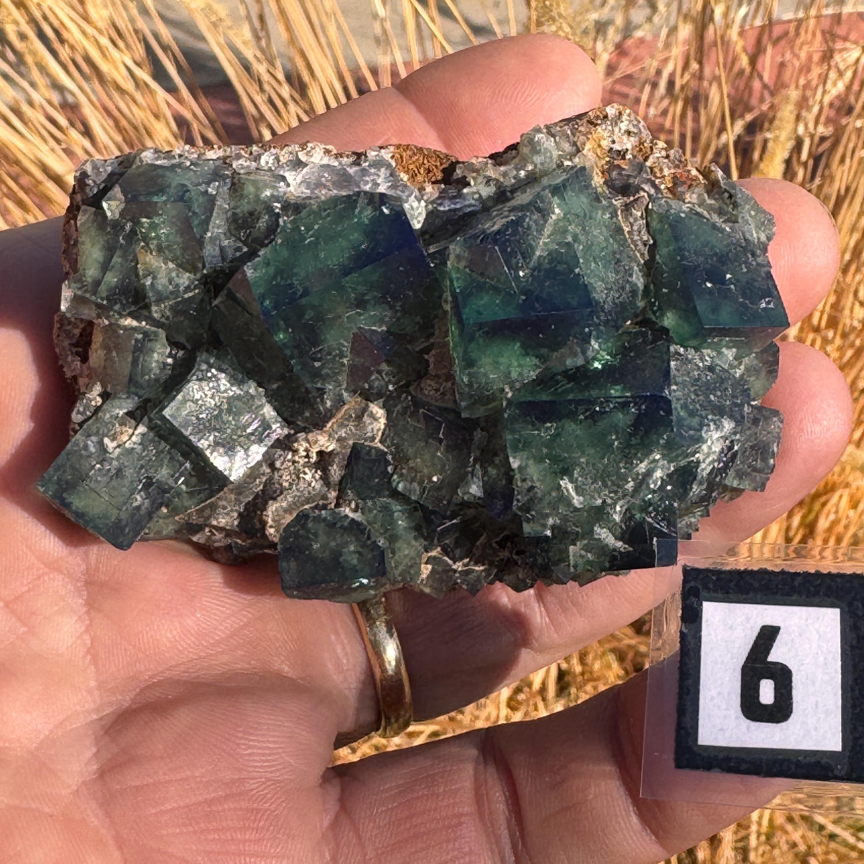 [shopname] - Green fluorite crystal cluster, sunlight reactive | Hidden Forest Pocket, Diana Maria Mine, Durham England, rock decor