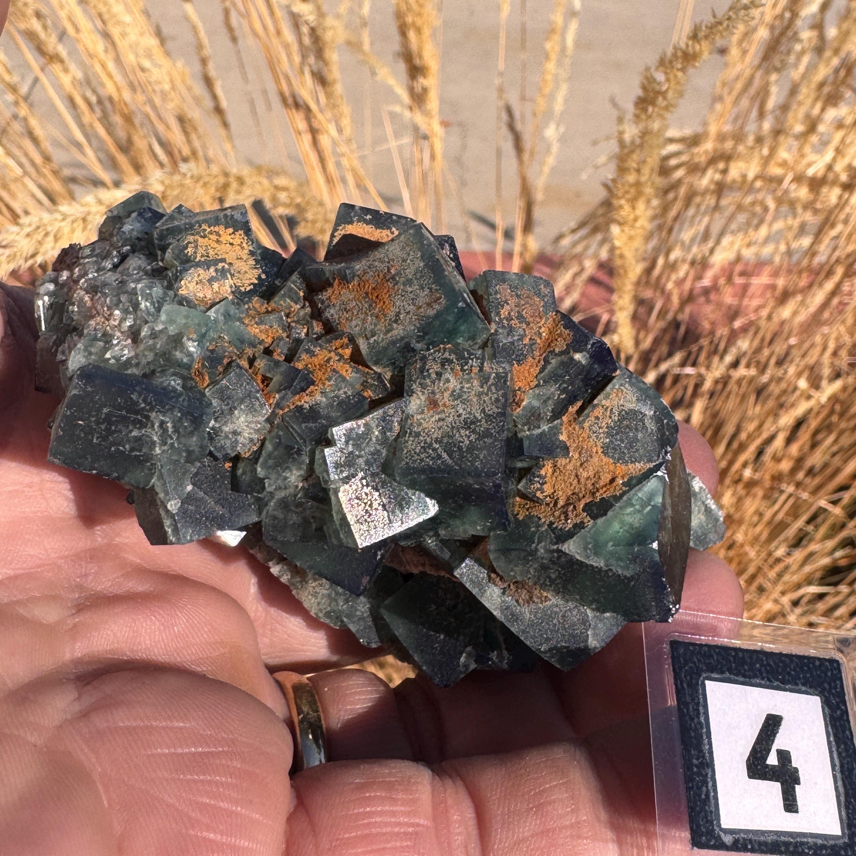 [shopname] - Green fluorite crystal cluster, sunlight reactive | Hidden Forest Pocket, Diana Maria Mine, Durham England, rock decor
