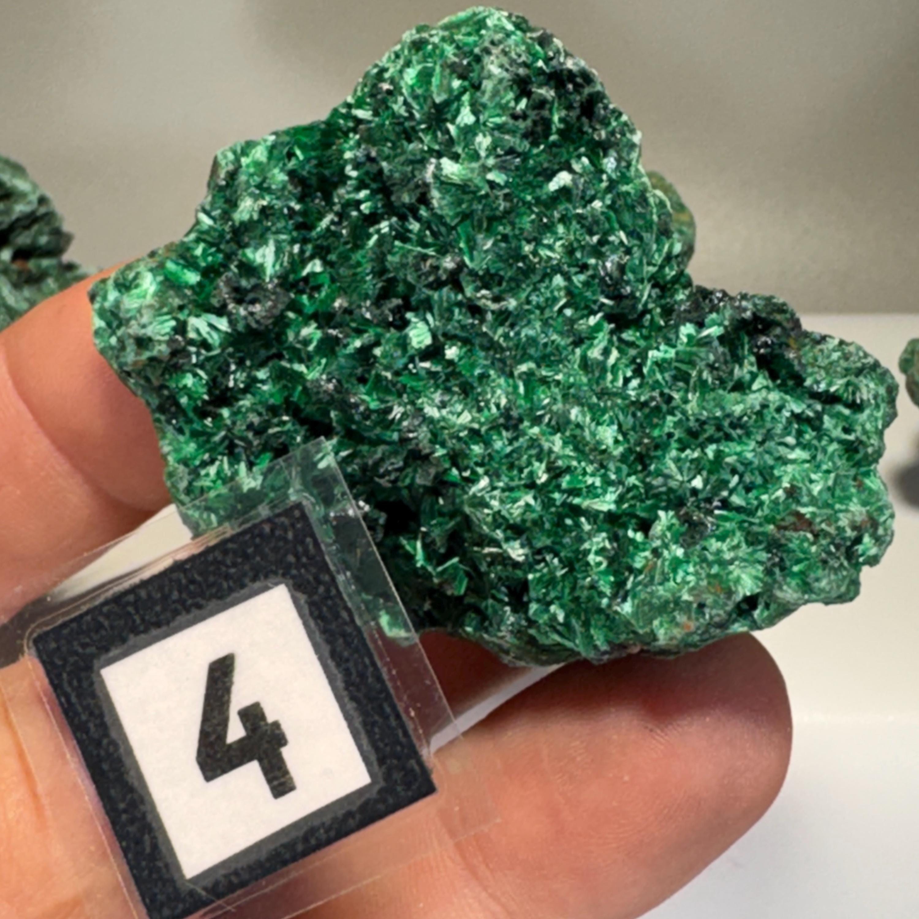 [shopname] - Raw Fibrous Malachite, rock decor
