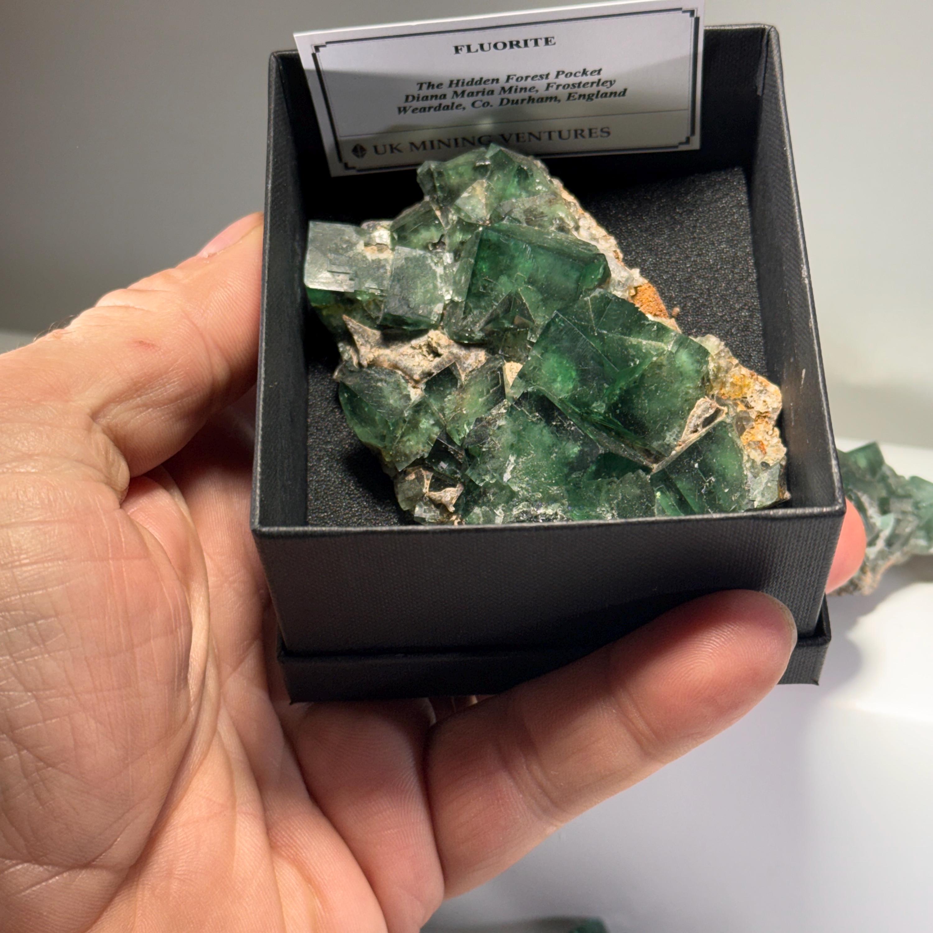 [shopname] - Green fluorite crystal cluster, sunlight reactive | Hidden Forest Pocket, Diana Maria Mine, Durham England, rock decor