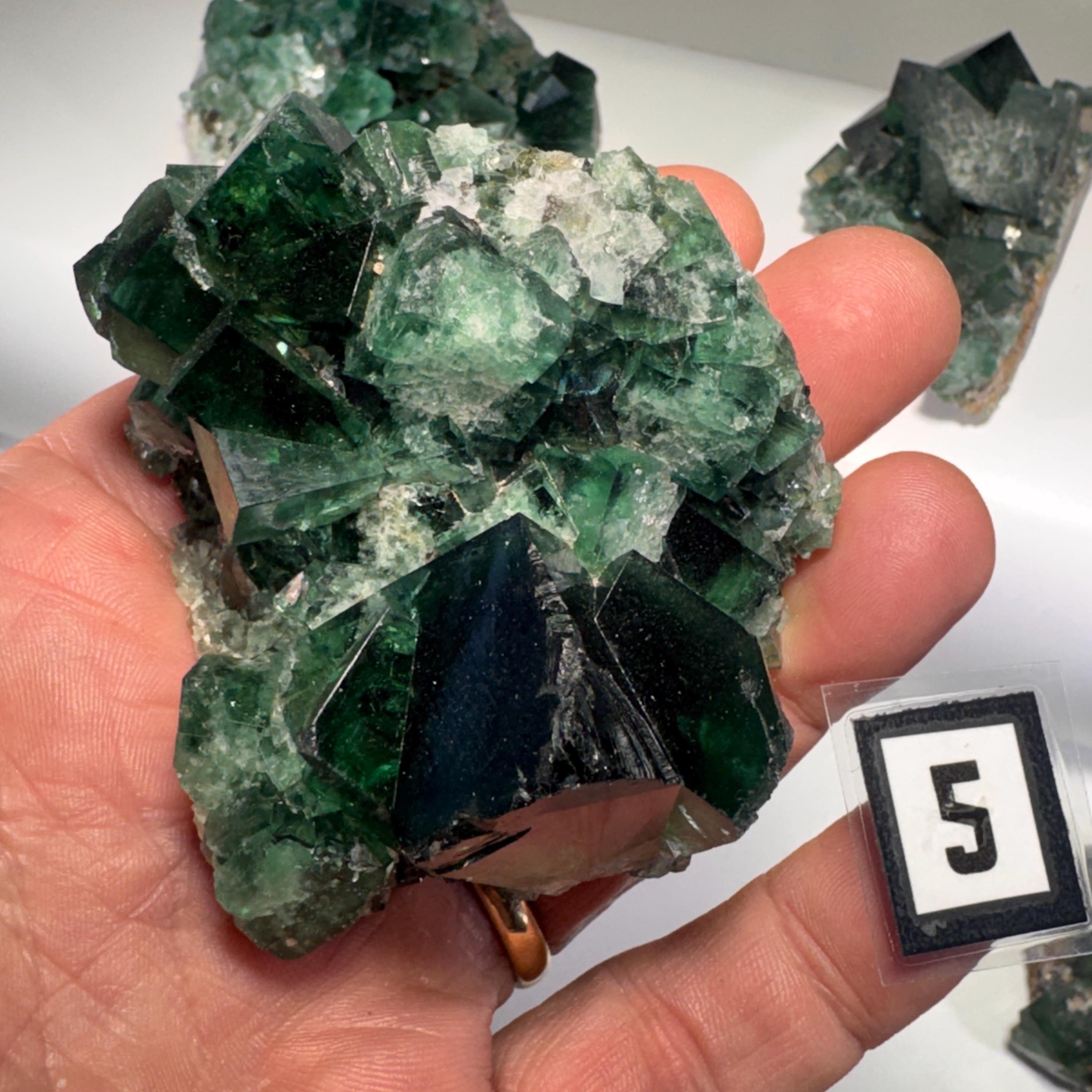 [shopname] - Green fluorite crystal cluster, sunlight reactive | Hidden Forest Pocket, Diana Maria Mine, Durham England, rock decor