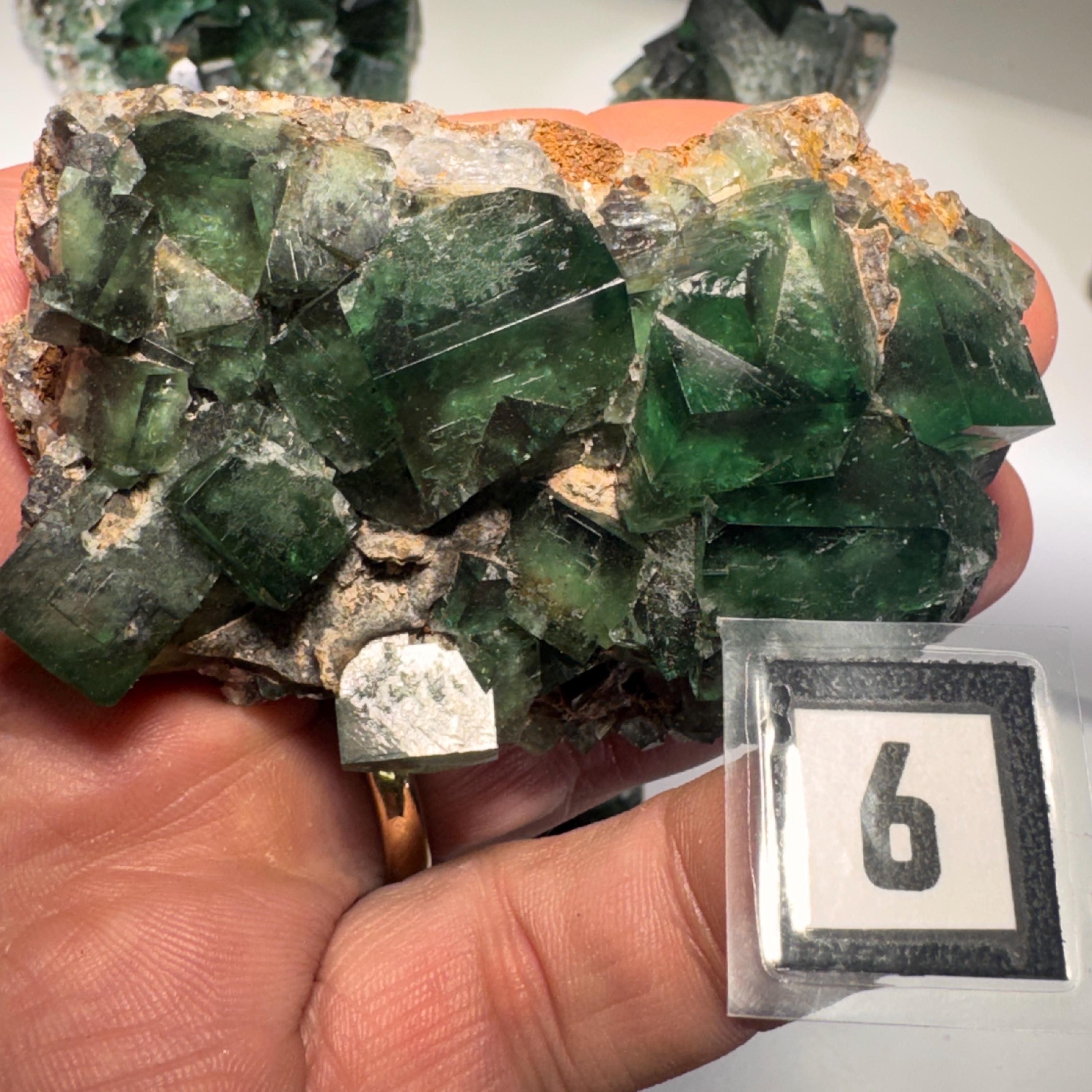 [shopname] - Green fluorite crystal cluster, sunlight reactive | Hidden Forest Pocket, Diana Maria Mine, Durham England, rock decor