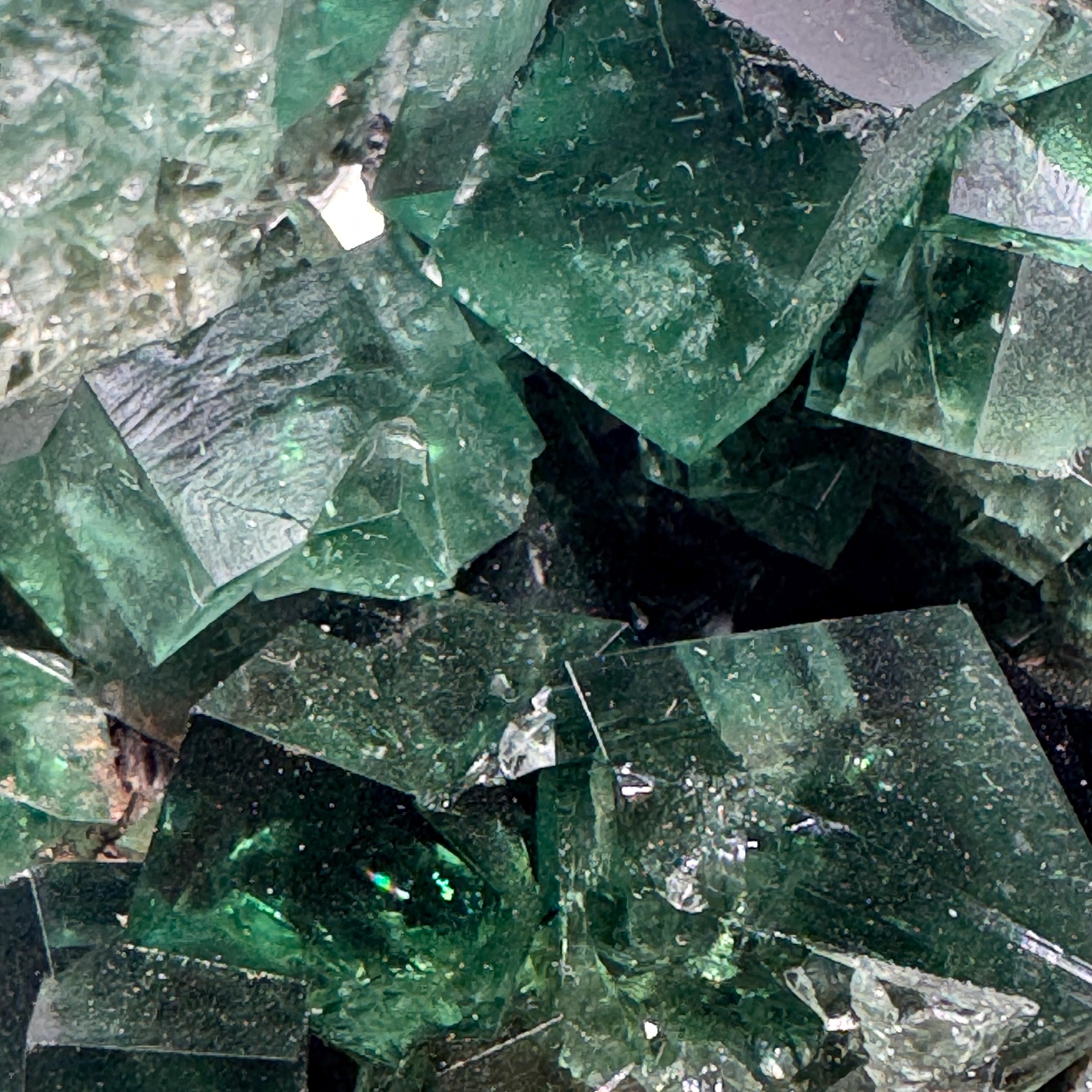 [shopname] - Green fluorite crystal cluster, sunlight reactive | Hidden Forest Pocket, Diana Maria Mine, Durham England, rock decor