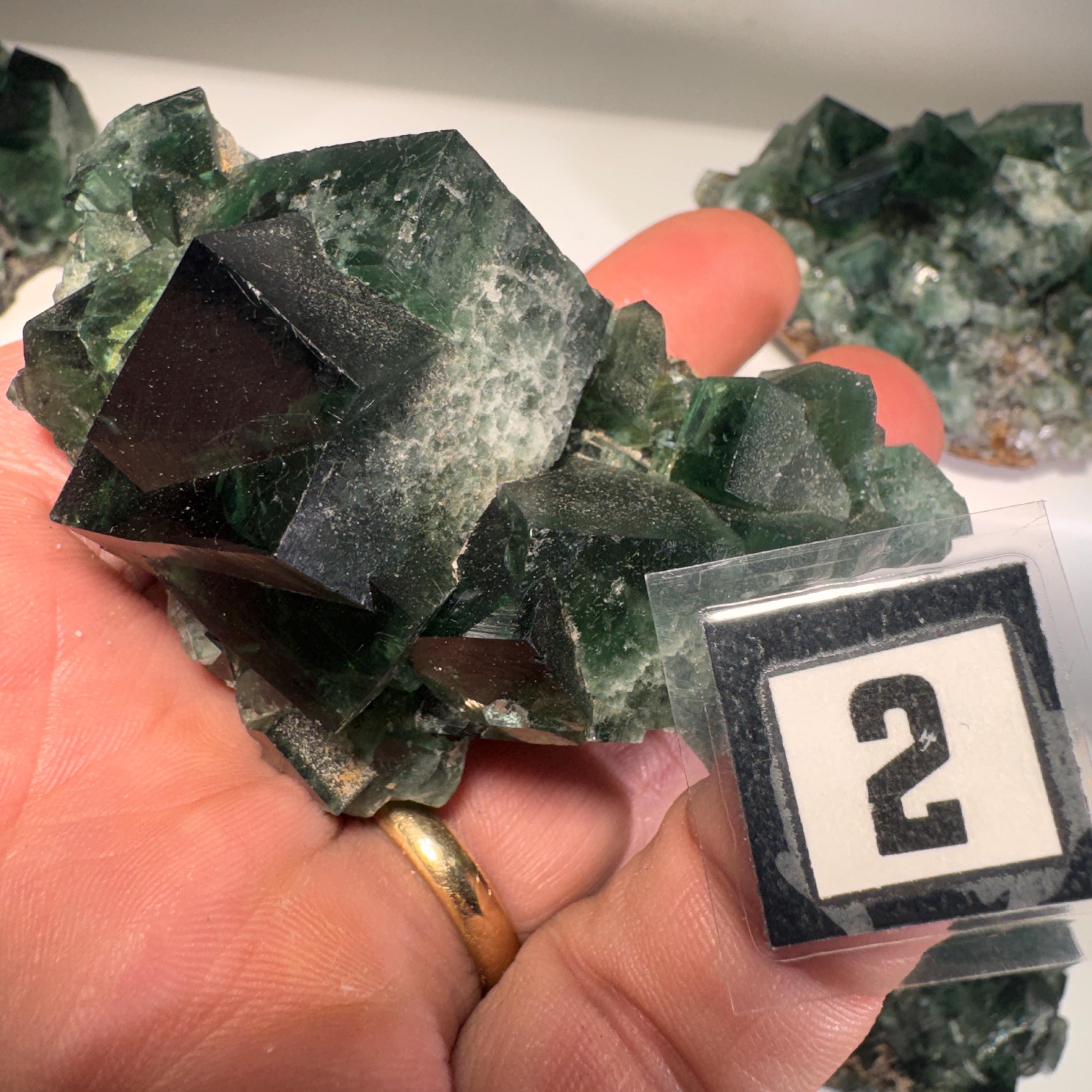 [shopname] - Green fluorite crystal cluster, sunlight reactive | Hidden Forest Pocket, Diana Maria Mine, Durham England, rock decor