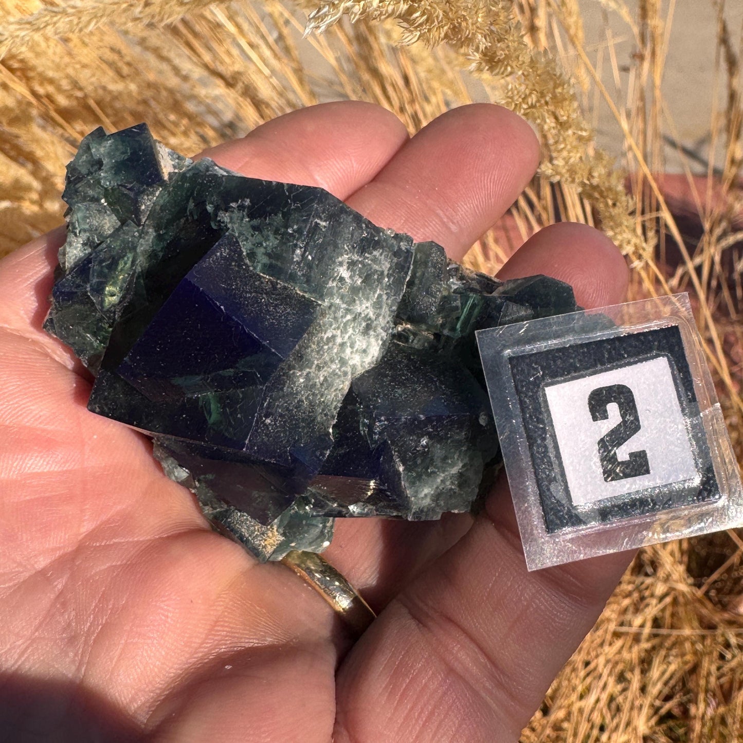 [shopname] - Green fluorite crystal cluster, sunlight reactive, rock decor