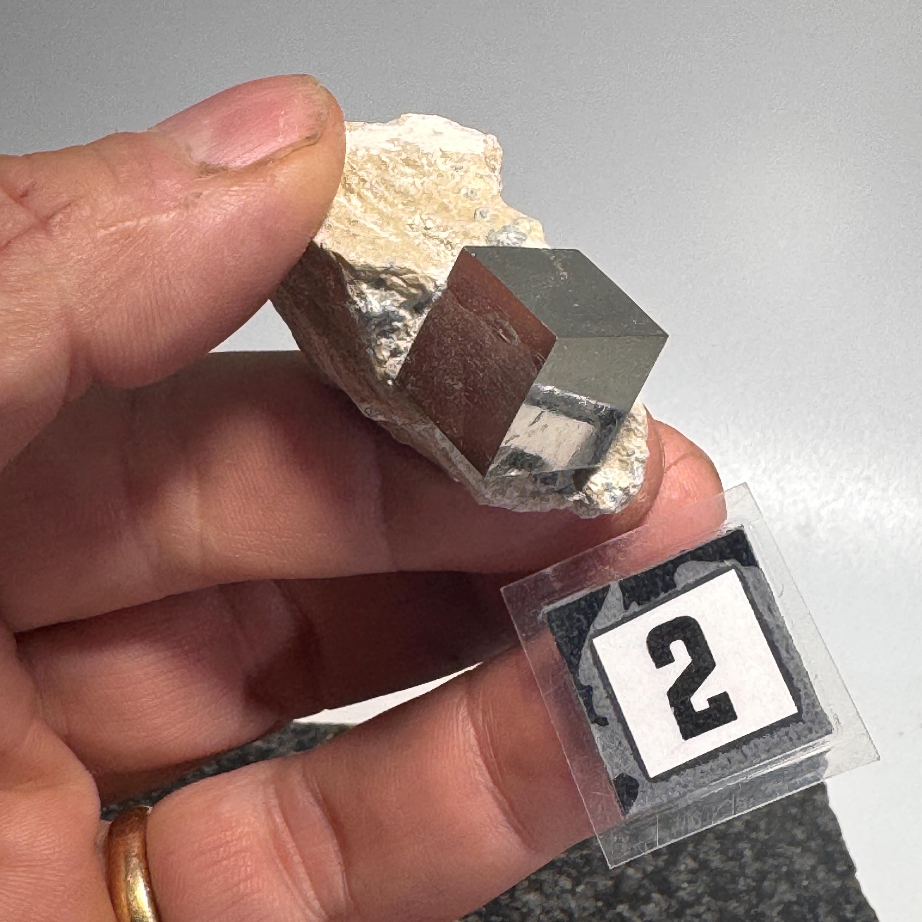 [shopname] - Pyrite cube cluster in matrix, rock decor