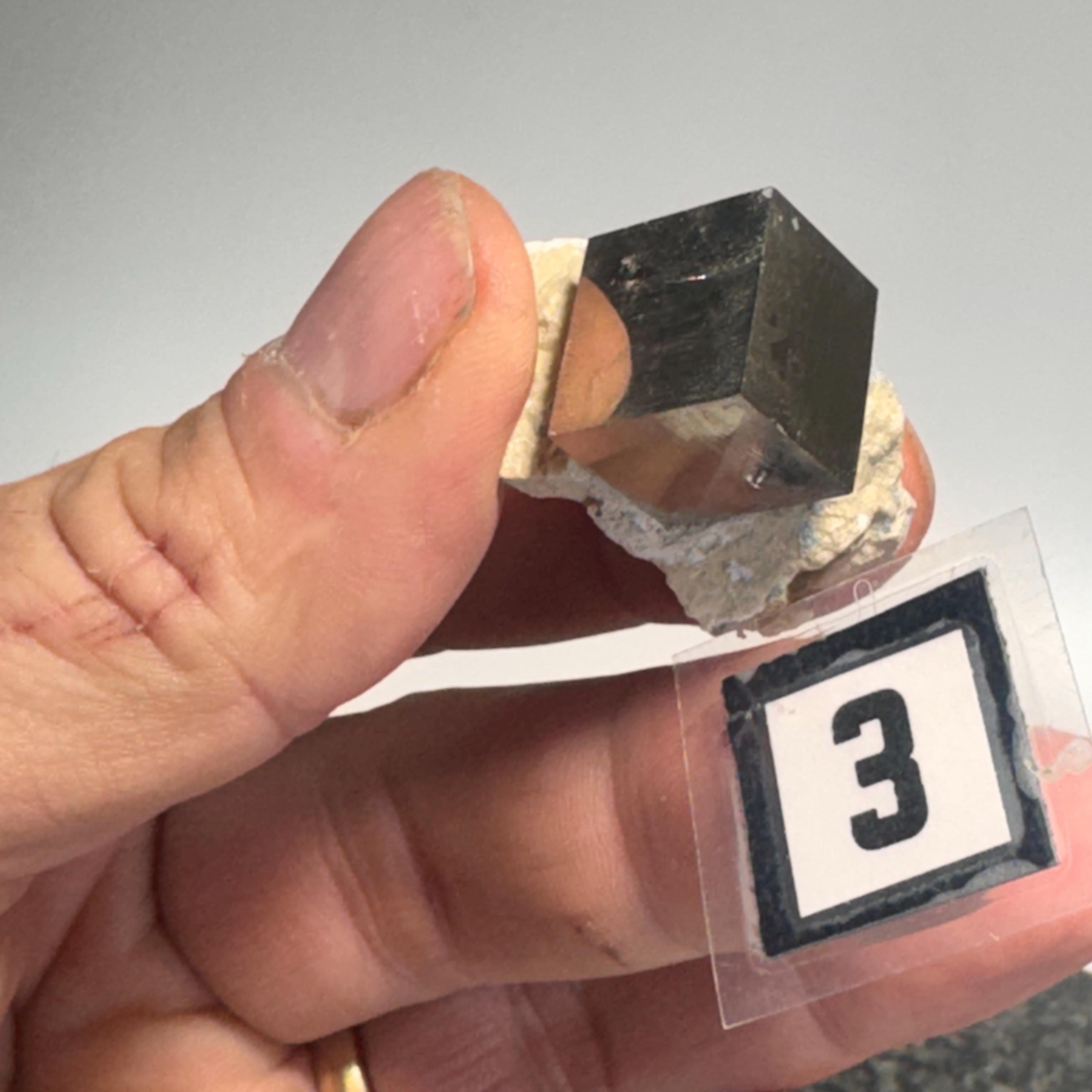 [shopname] - Pyrite cube cluster in matrix, rock decor
