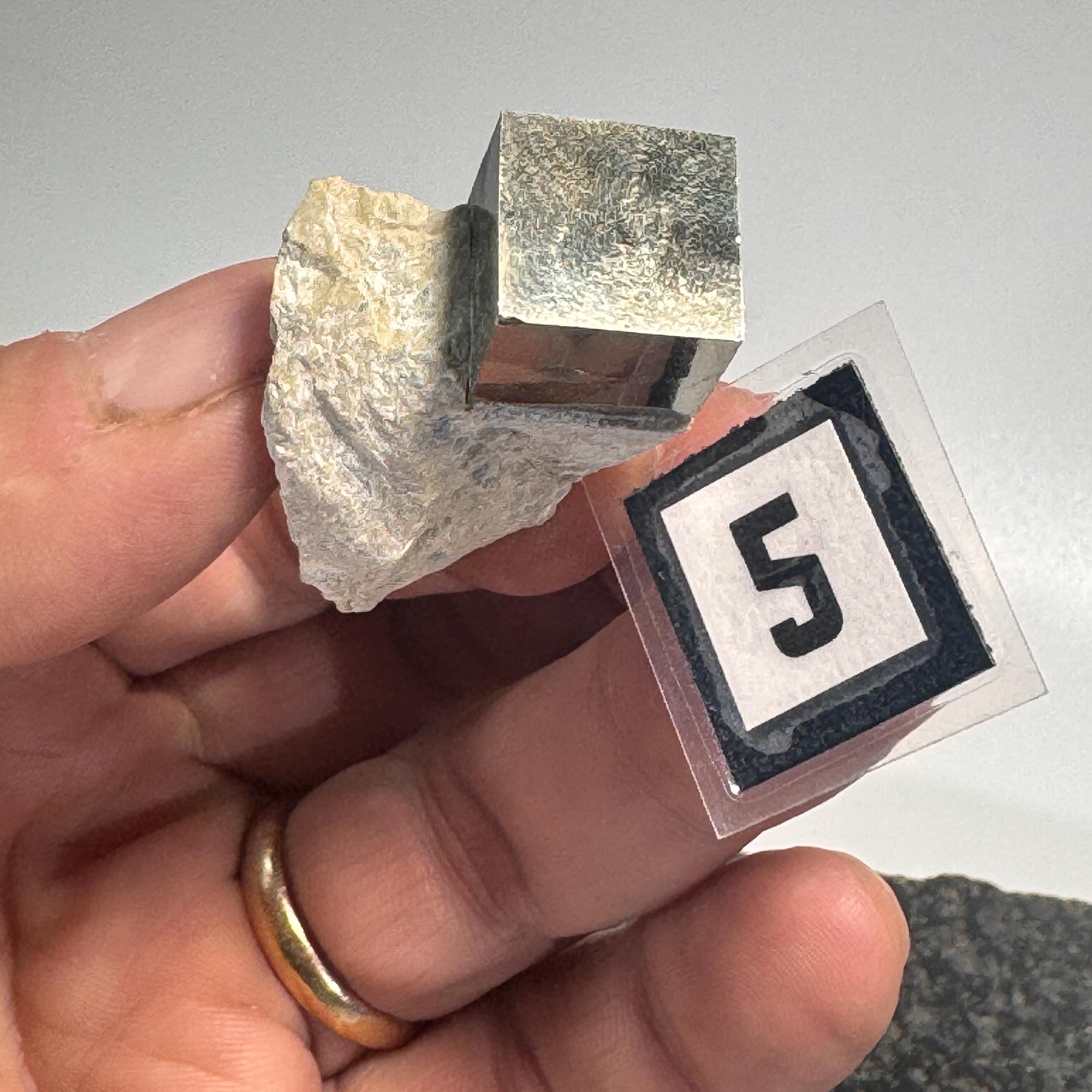 [shopname] - Pyrite cube cluster in matrix, rock decor