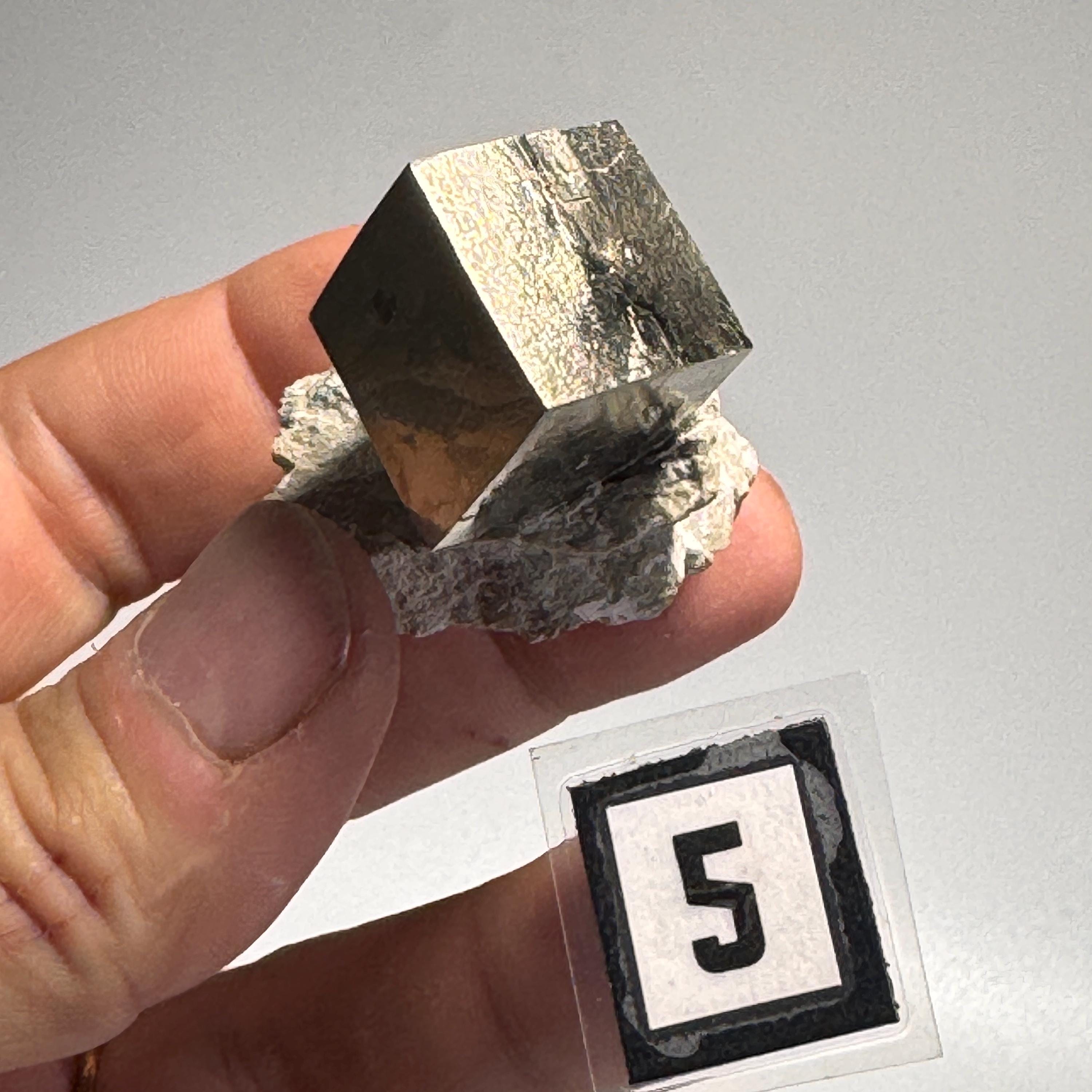 [shopname] - Navajun Spain Pyrite Cube in Matrix, rock decor