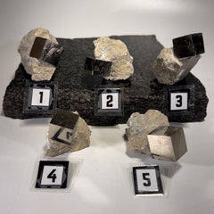 [shopname] - Navajun Spain Pyrite Cube in Matrix, rock decor