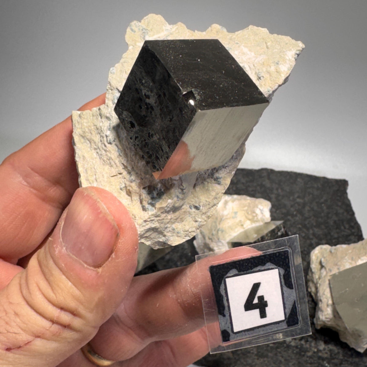 Pyrite cube specimen in tan host rock with dark metallic cube prism