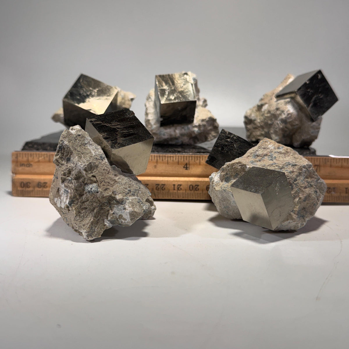 Pyrite cube specimens on ruler scale, tan-gray host rock and dark cubes