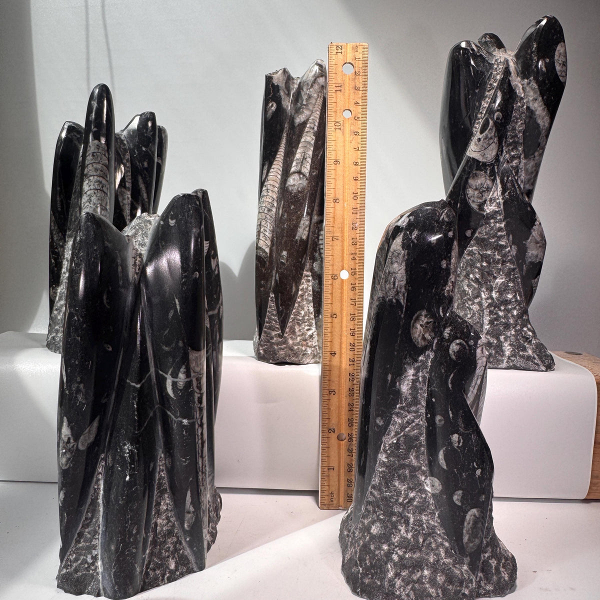Orthoceras fossil tower specimens with ruler for scale, dark gray/black textured spires
