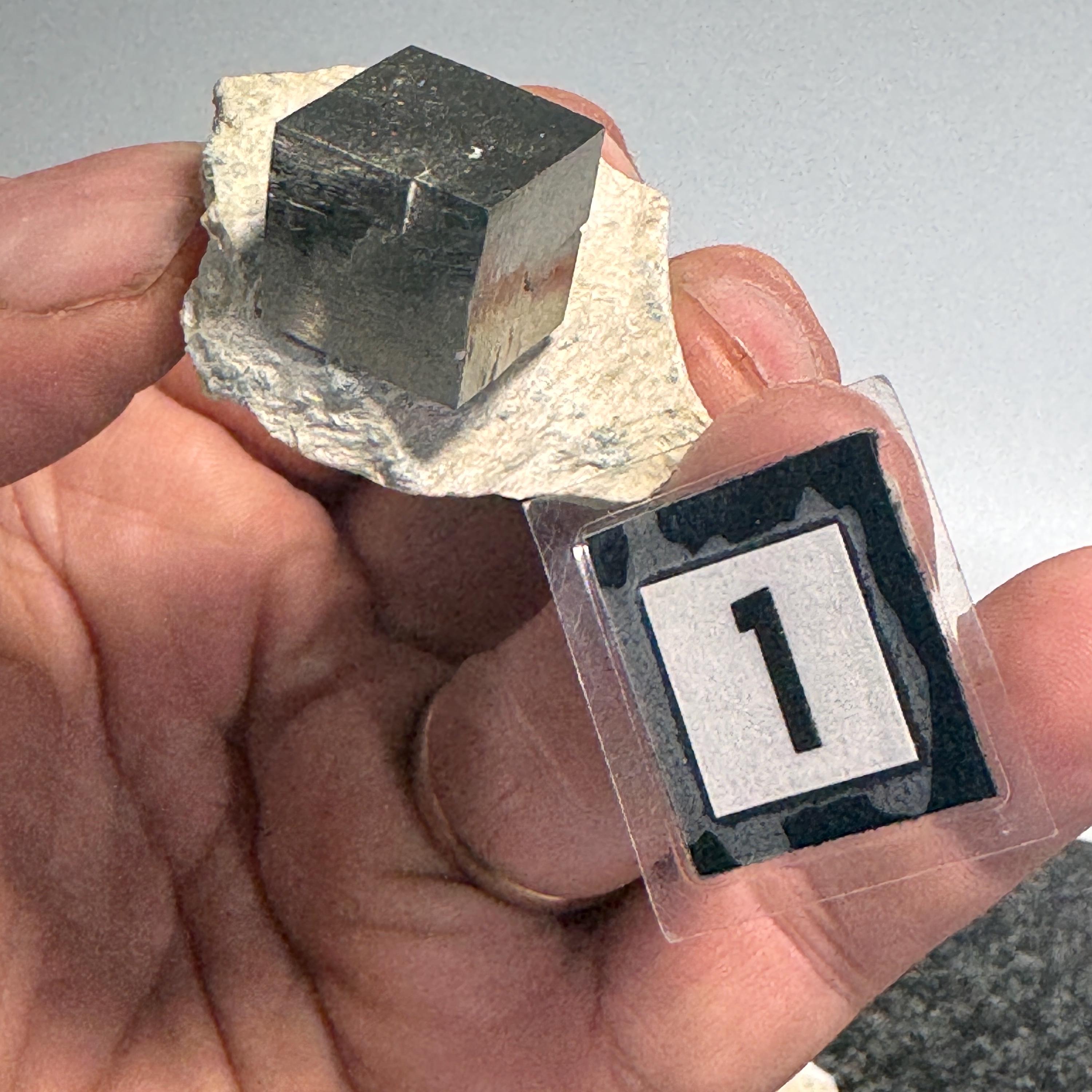 [shopname] - Pyrite cube cluster in matrix, rock decor