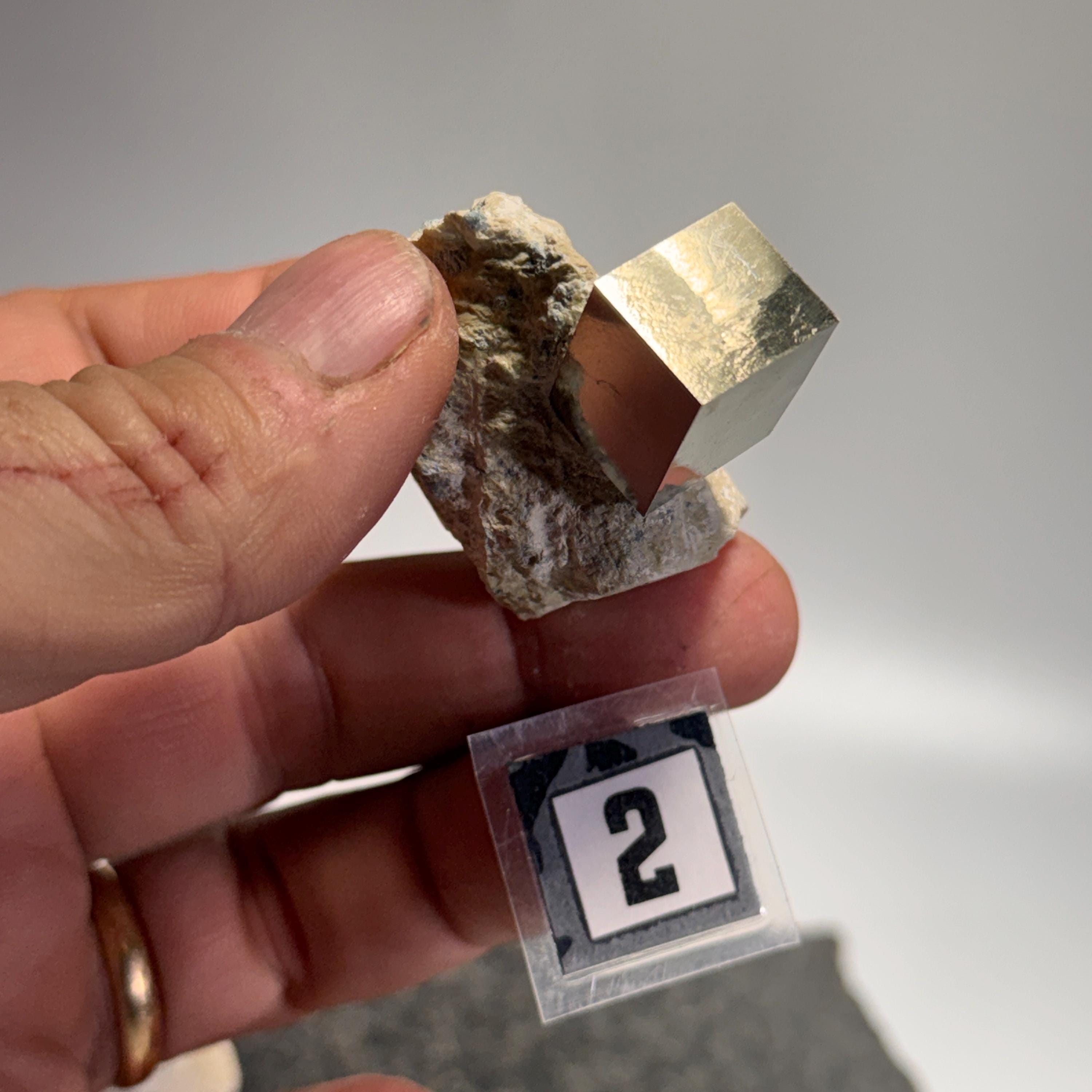 [shopname] - Navajun Spain Pyrite Cube in Matrix, rock decor