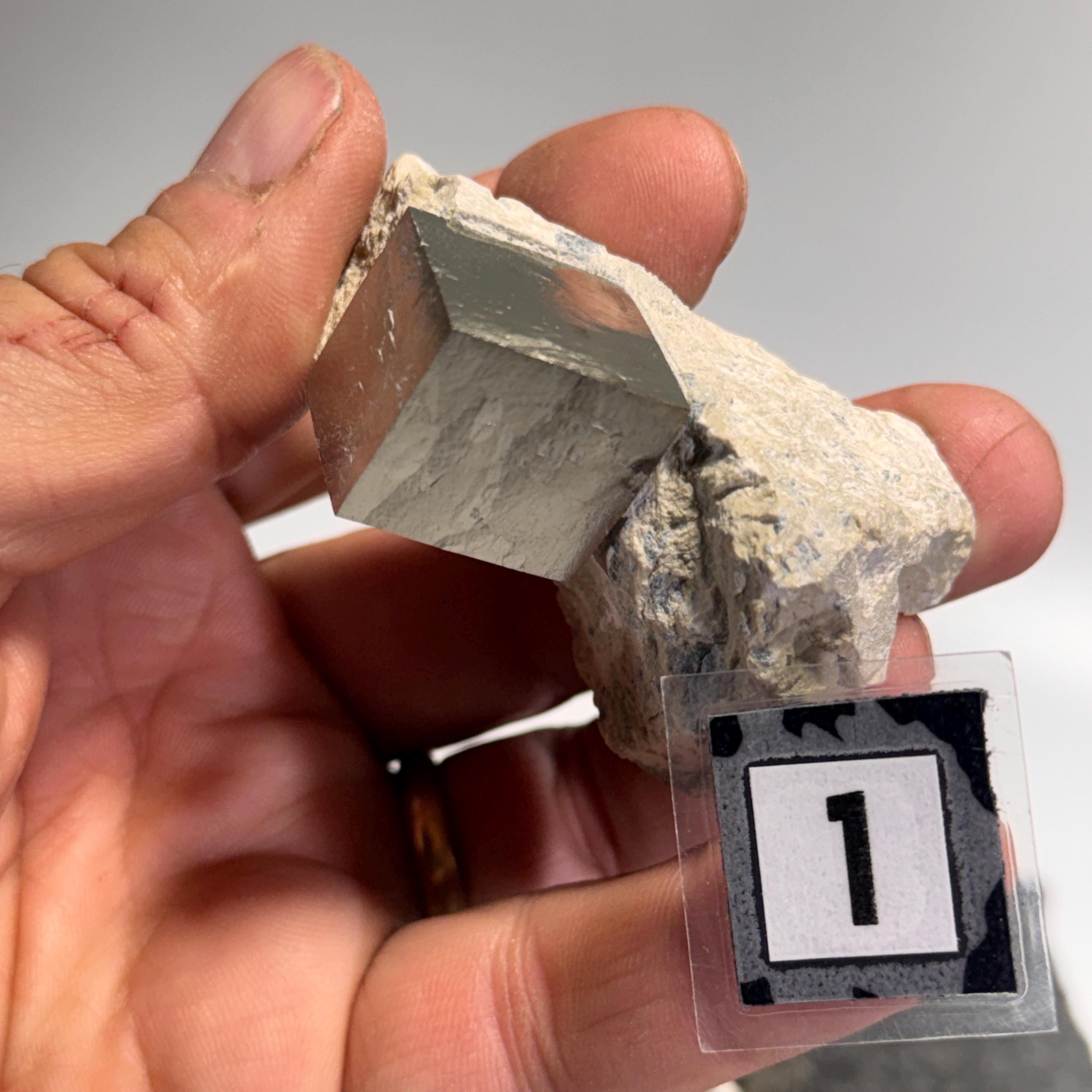 [shopname] - Navajun Spain Pyrite Cube in Matrix, rock decor