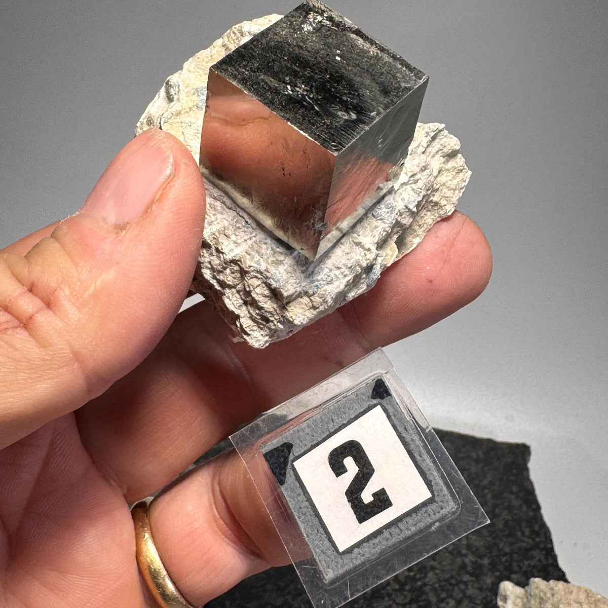Hand holding pyrite cube in rough tan-and-gray host rock