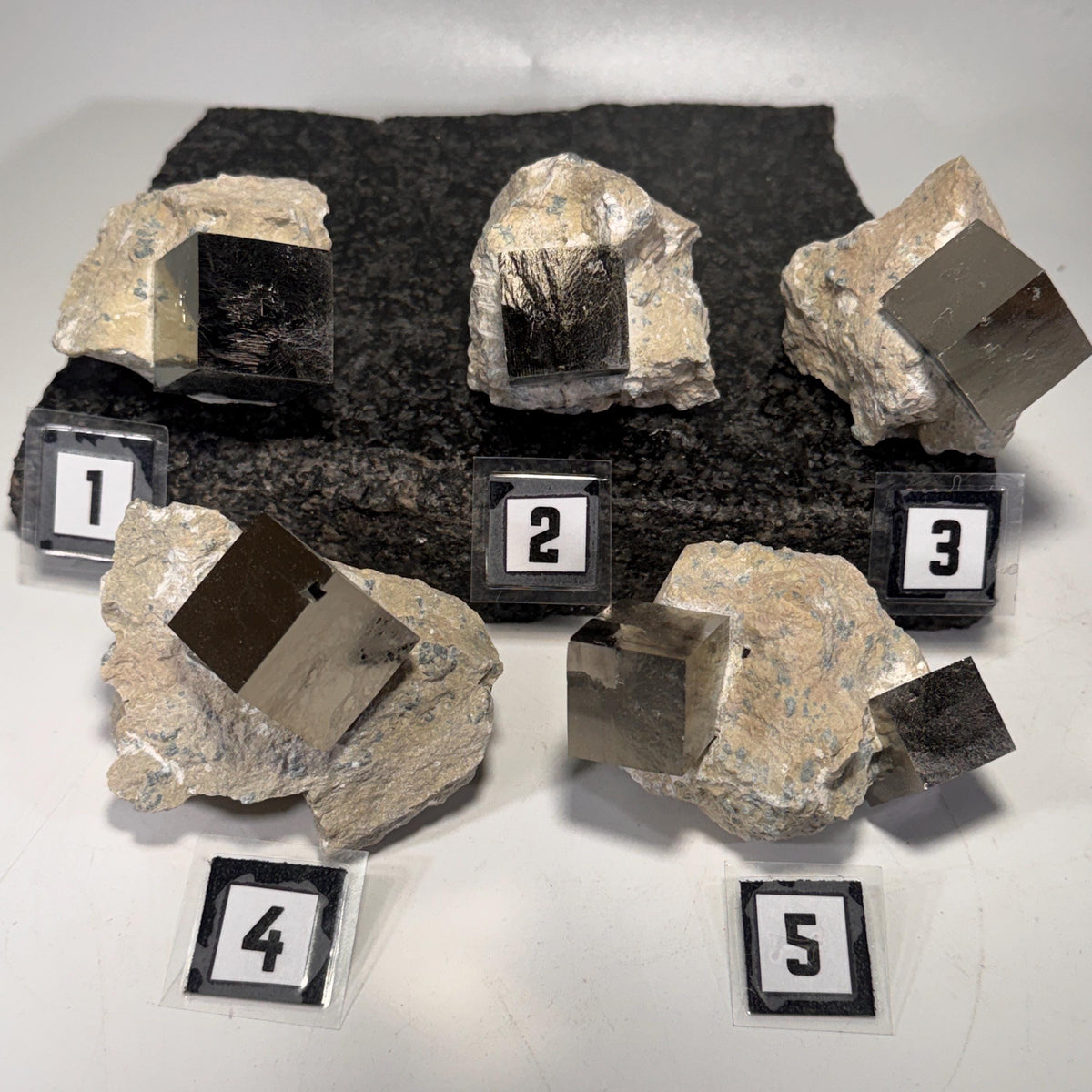 Five labeled pyrite cube specimens in dark matrix rock, tan-and-black crystals