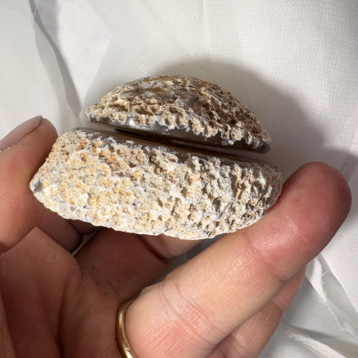 [shopname] - Brazilian Geode Ring Box with Sparkling Druzy Crystal Interior — Natural Agate Proposal Box, rock decor