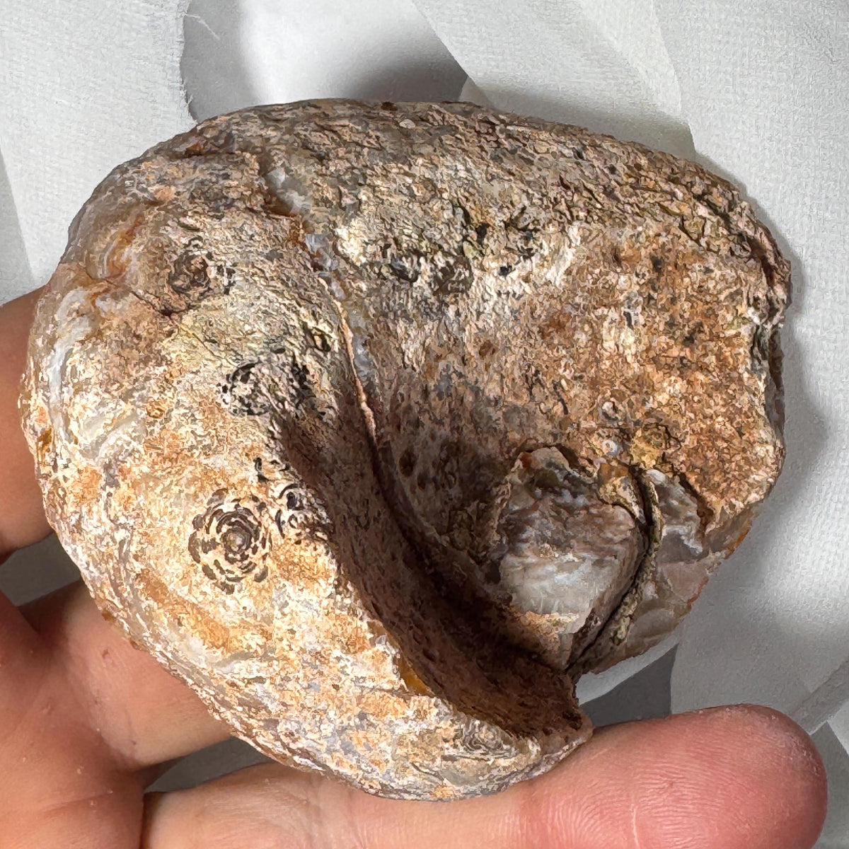[shopname] - One-of-a-Kind Amethyst Druzy Geode Ring Box — Natural Brazilian Agate Proposal Keepsake, rock decor