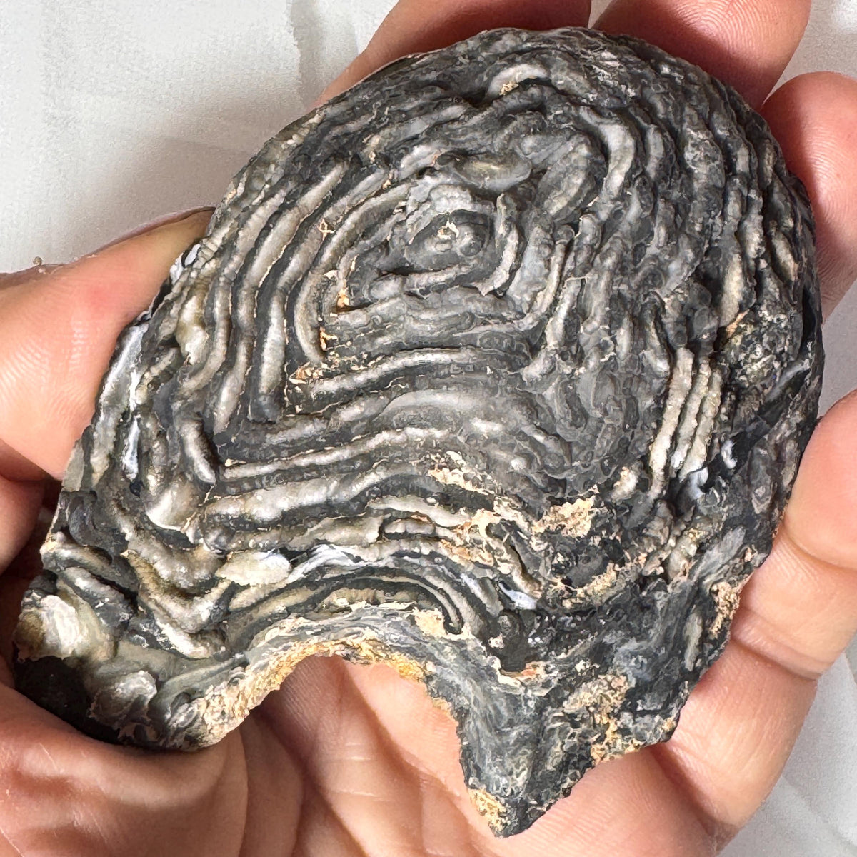 [shopname] - Brazilian Geode Ring Box with Sparkling Druzy Crystal Interior — Natural Agate Proposal Box, rock decor