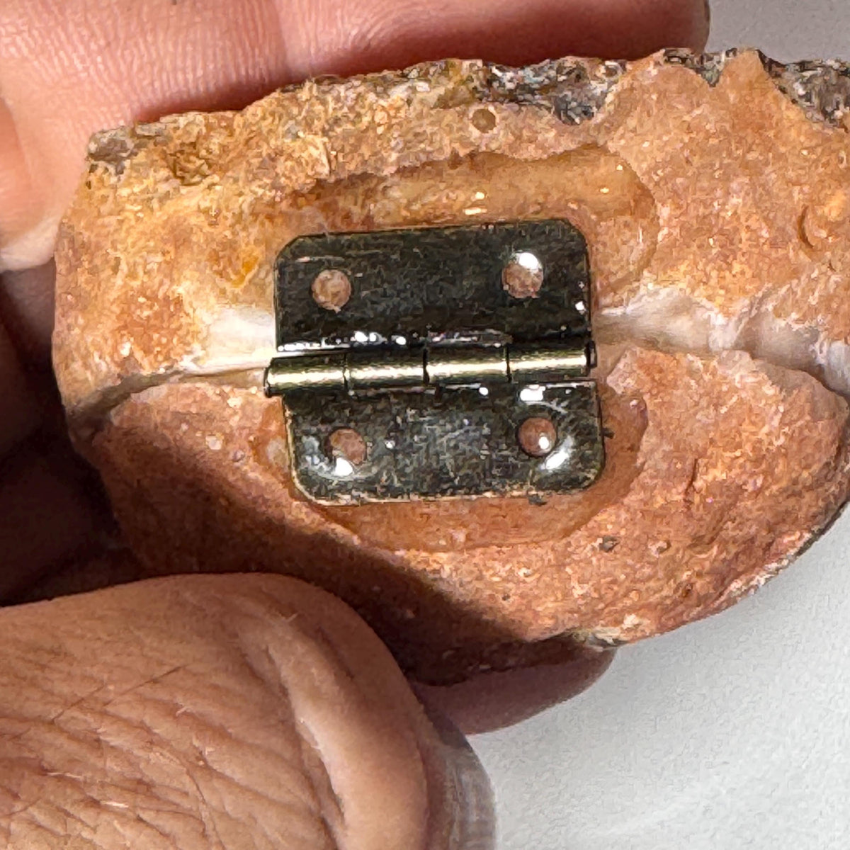 [shopname] - Brazilian Geode Ring Box with Sparkling Druzy Crystal Interior — Natural Agate Proposal Box, rock decor