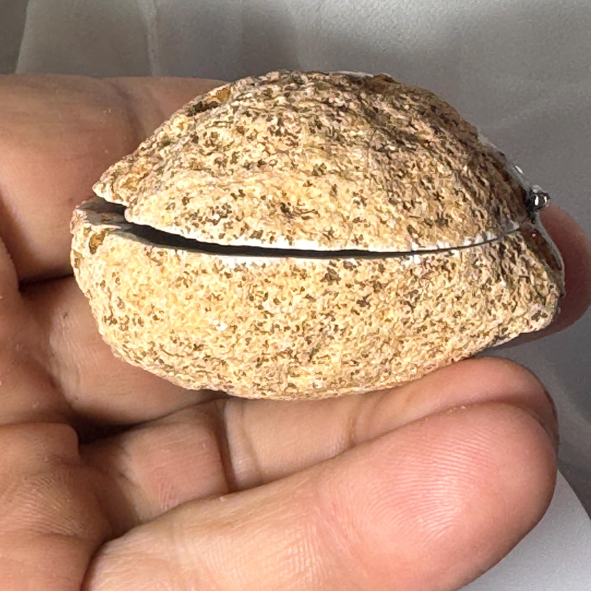 [shopname] - One-of-a-Kind Druzy Geode Ring Box — Natural Brazilian Agate Proposal Keepsake, rock decor
