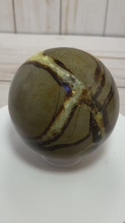 Septarian nodule sphere in acrylic stand