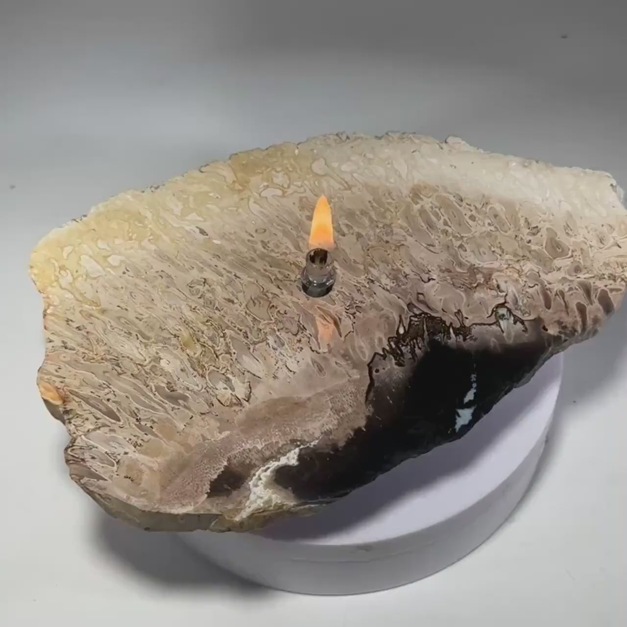 Petrified Palm Root Rock Candle