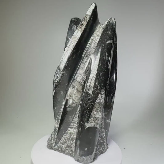 Orthoceras Fossil Tower