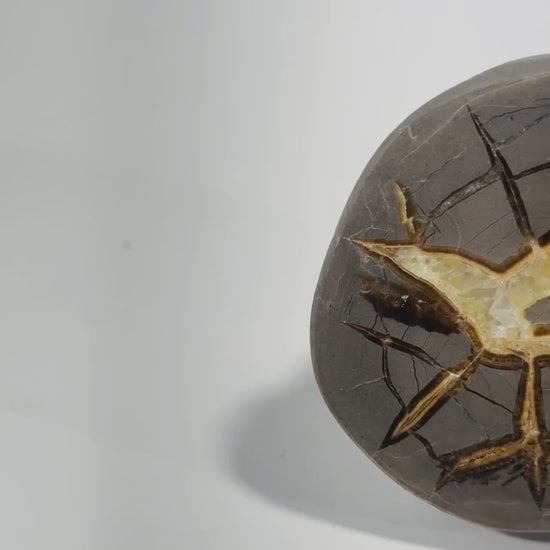 Septarian Nodule geode end-cut