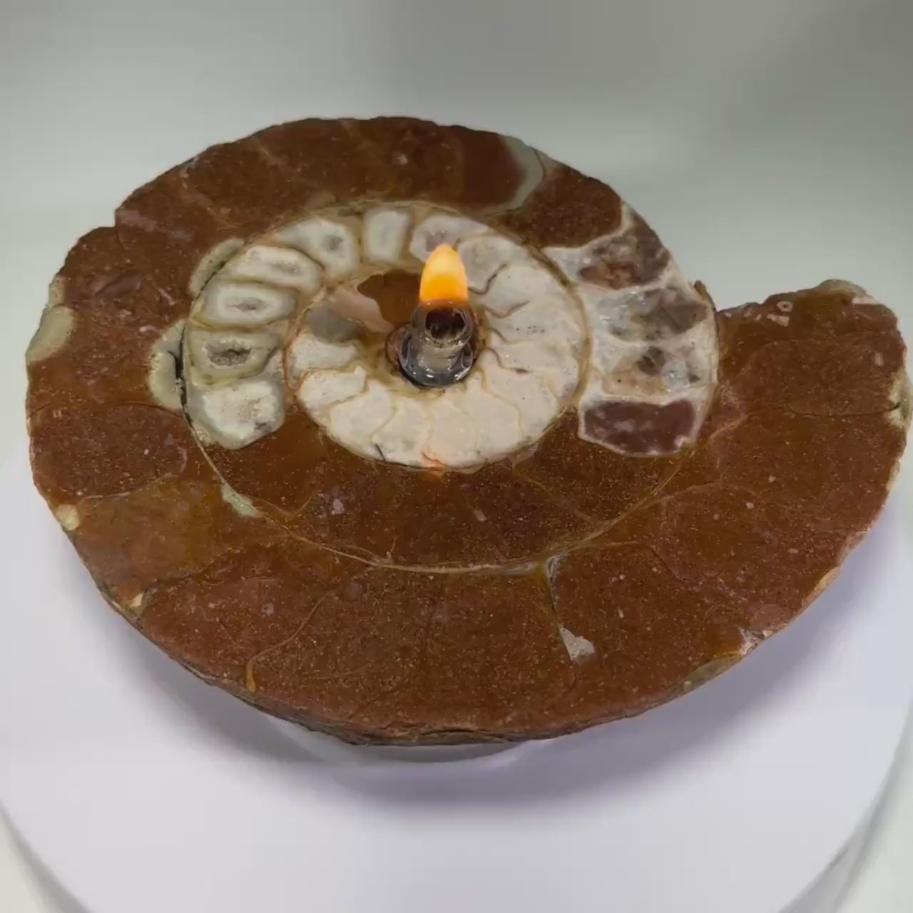 Ammonite Fossil Rock Candle