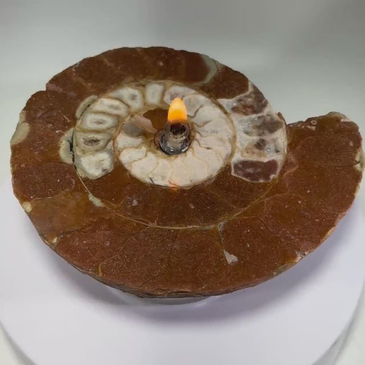 Ammonite Fossil Rock Candle