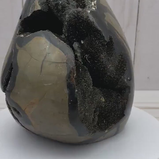 Large Polished Septarian Nodule Dragon's Egg