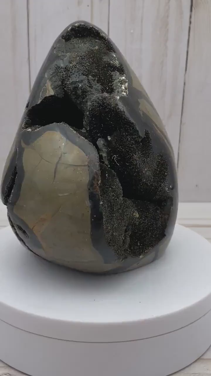 Large Polished Septarian Nodule Dragon's Egg
