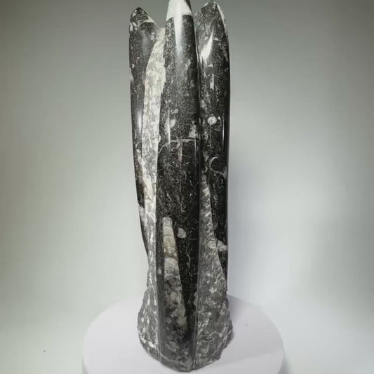 Orthoceras Fossil Tower Specimen, Carved Stone Cephalopod Statue, Moroccan Ammonite Carving