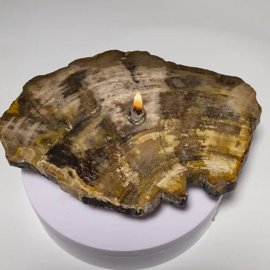 Petrified wood Rock Oil Lamp