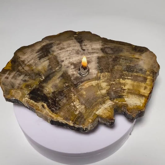 Petrified wood Rock Oil Lamp