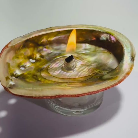 Abalone Shell Oil Lamp: Pink Iridescent Rock Candle, Beach Decor