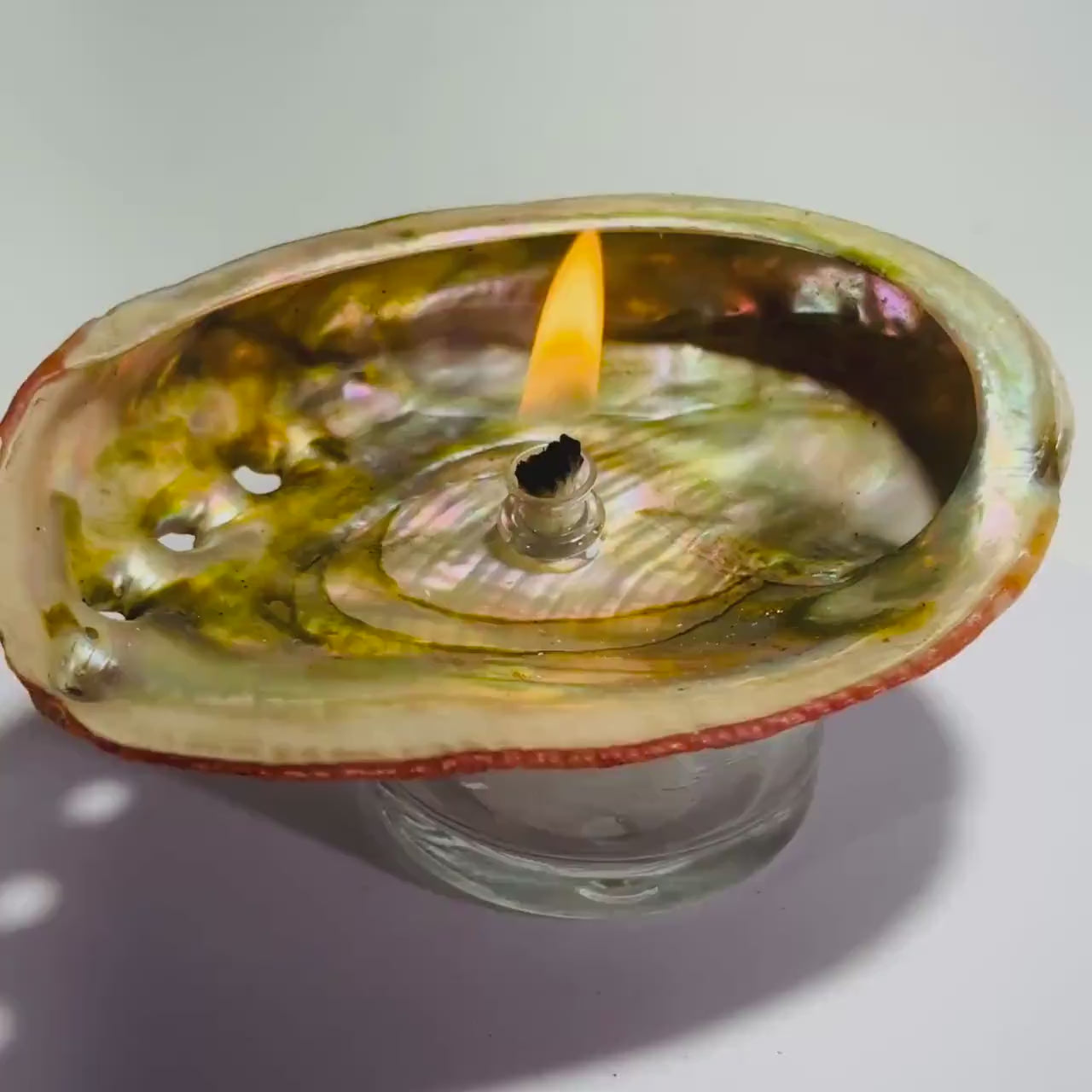 Abalone Shell Oil Lamp: Pink Iridescent Rock Candle, Beach Decor