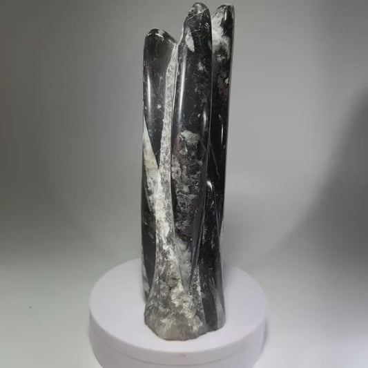 Orthoceras Fossil Tower
